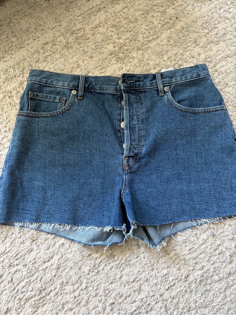 Everlane The Cheeky Short Denim Shorts